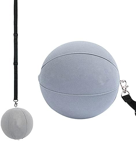 31w6WFzvUS._AC_.jpg Golf Smart Ball Training Aid Impact Inflatable Balls with Air Pump Adjustable Lanyard Assist Teaching Posture Correction Trainer Aids for Men Women Beginner Golfer - Image 1