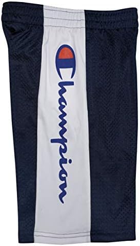 Champion Boys Hertiage Script Mesh Short