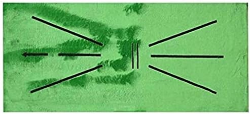 41SyvOTLgUL._AC_.jpg Lechay Golf Training Mat, Golf Swing Training Mat Mini Golf Practice Training Aid Rug for Swing Detection Batting for Home/Office/Outdoor - Image 1