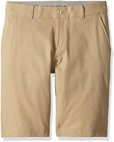PUMA Boys' 2018 Heather Pounce Short
