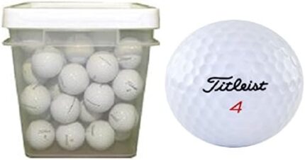 Titleist 50 Ball Bucket DT Mix Used Golf Balls