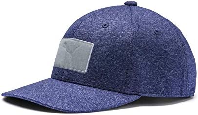 Puma Golf 2019 Kid's Utility Patch Hat (One Size)